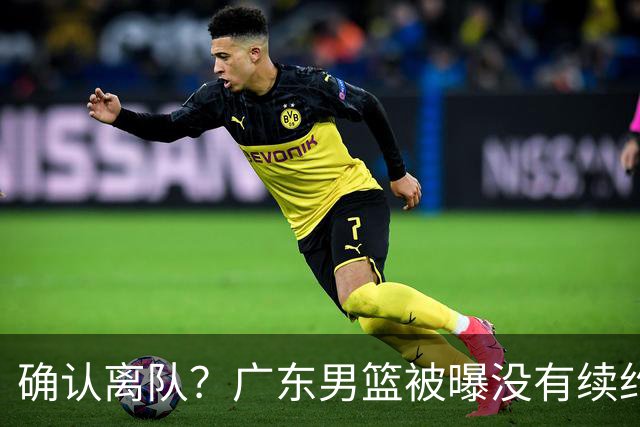 确认离队？广东男篮被曝没有续约杜锋，新主教练人选正式曝光！